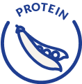 Protein Icon